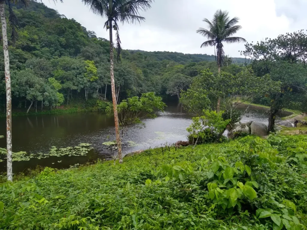 Famílias em área de mangue no Parque do Cocó serão incluídas em programa de moradia